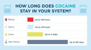 how long does cocaine last